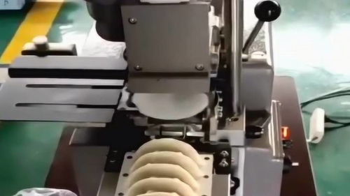 爸爸癱瘓在家,媽媽在食品廠上班,每天加工無數餃子